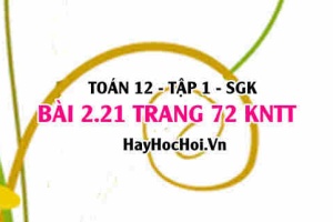 Bài 2.21 trang 72 Toán 12 tập 1 Kết nối tri thức